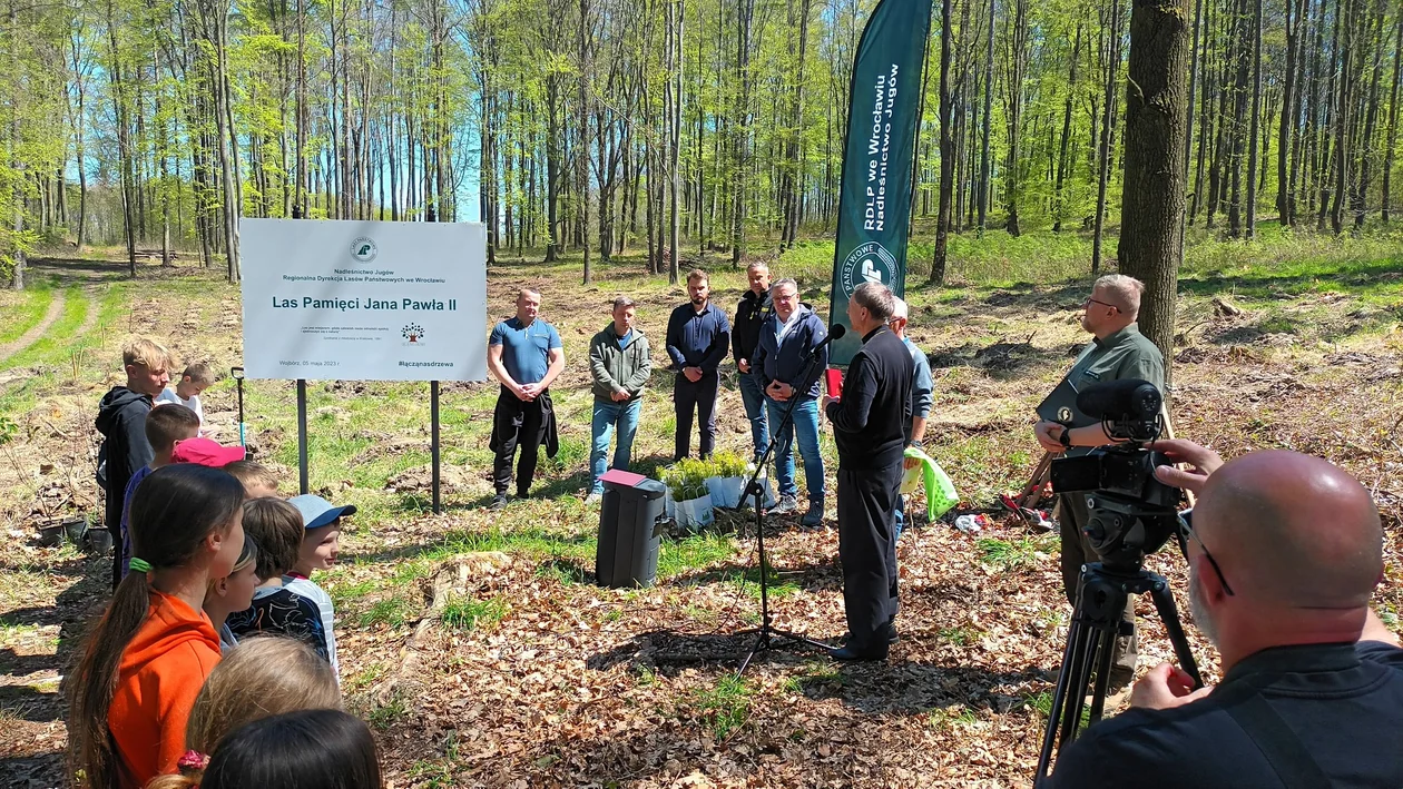 Nadleśnictwo Jugów. Posadzili las im. Jana Pawła II - Zdjęcie główne