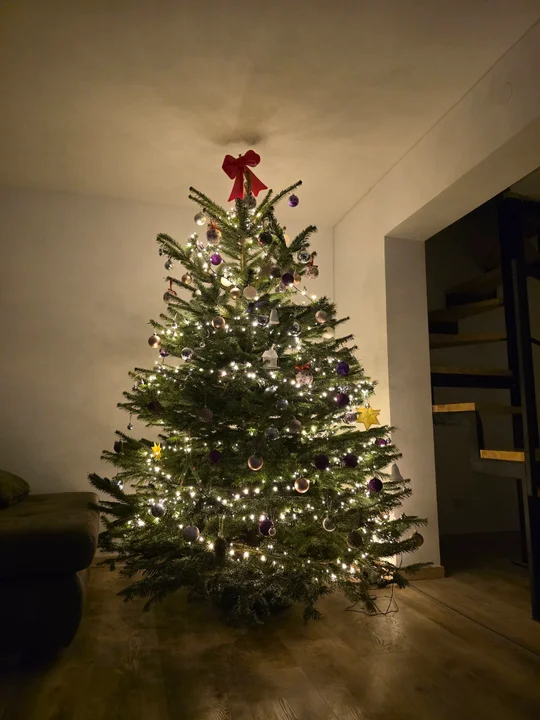 Boże Narodzenie 2025. Choinki naszych czytelników [galeria]