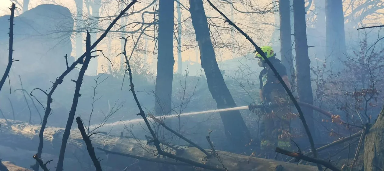Pożar w Górach Sowich. Spłonęło 2,3 ha lasu. To było podpalenie