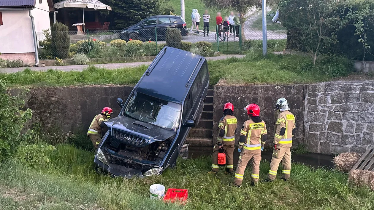 Jaszkowa Dolna. Nietypowa interwencja służb [zdjęcia] - Zdjęcie główne