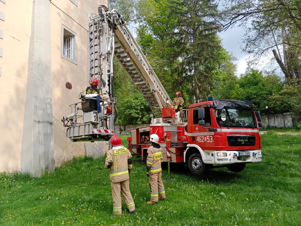 Strażacy ćwiczyli w Trzebieszowicach [zdjęcia]