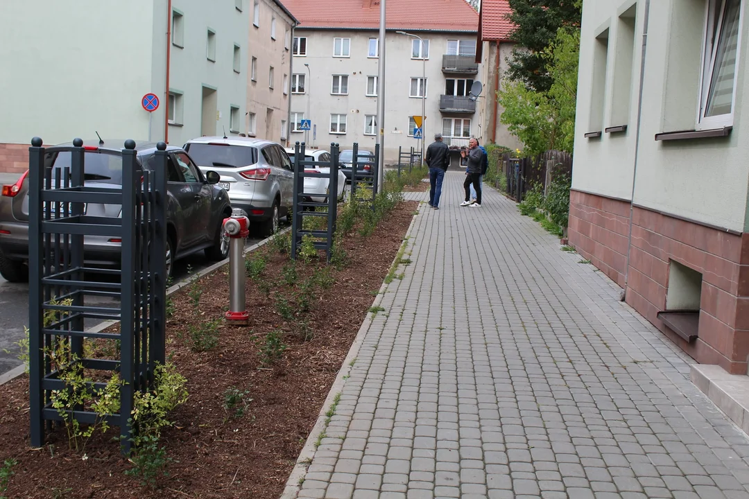 Nowa Ruda. Zazielenili Teatralną. Przed nami m.in. rewitalizacja parku przy ul. Kolejowej