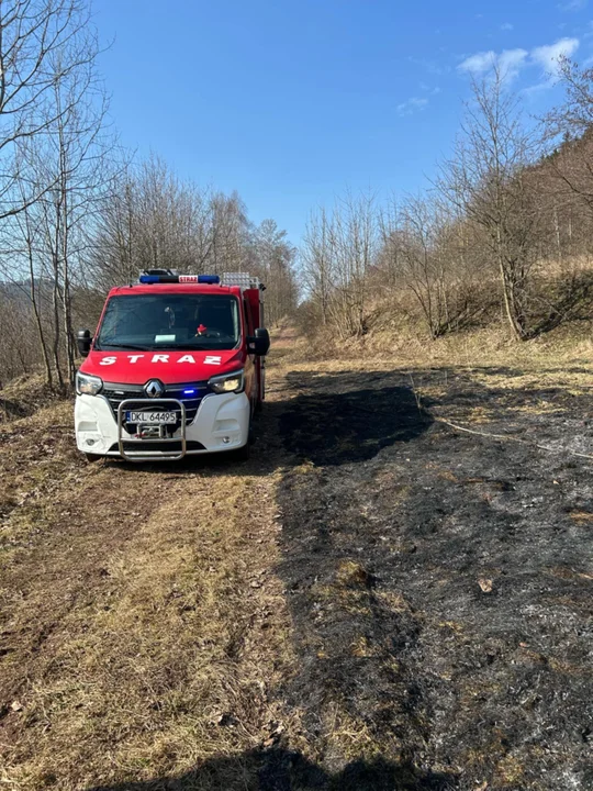 Pożary traw w powiecie kłodzkim. Alarmująca sytuacja [galeria]