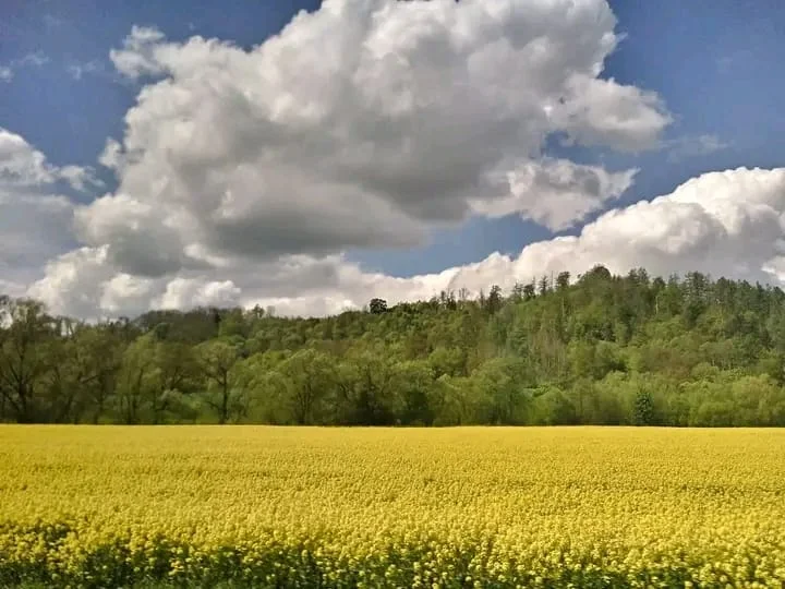 Wiosna w obiektywie naszych czytelników [galeria]