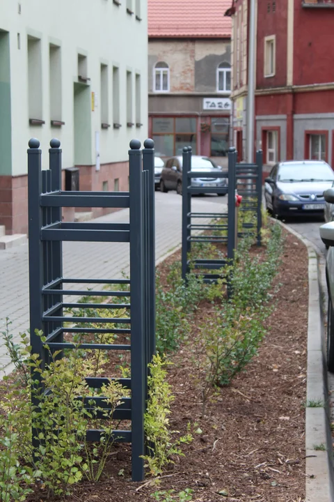 Nowa Ruda. Zazielenili Teatralną. Przed nami m.in. rewitalizacja parku przy ul. Kolejowej