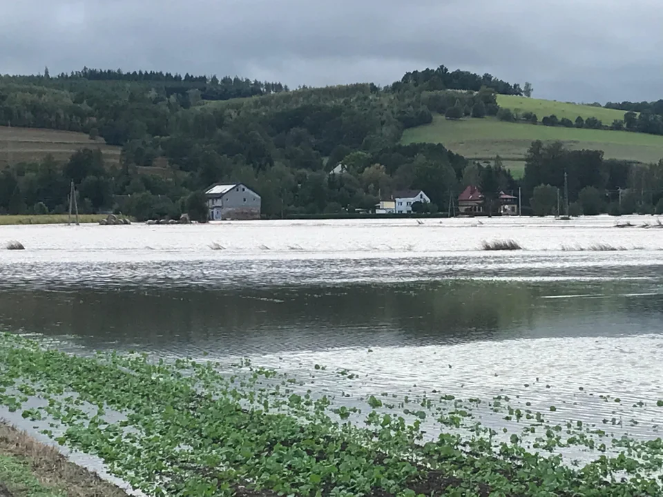 Gmina Radków. Utrudnienia na drodze między Ścinawką Dolną a Roszkowem