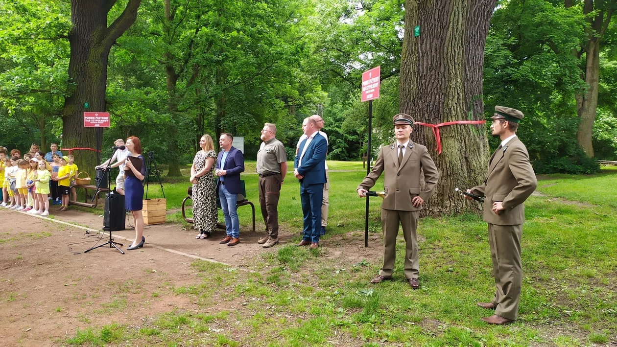 Nowa Ruda. Antoni, Tadeusz, Jan i Józef, to imiona czterech nowych pomników przyrody w Słupcu [galeria]