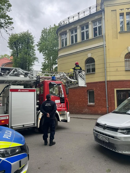 Kłodzko. Niecodzienna interwencja Straży Miejskiej