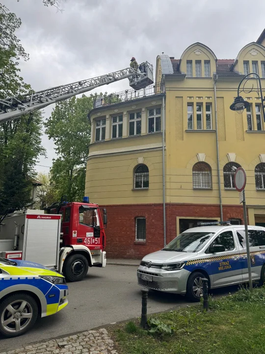 Kłodzko. Niecodzienna interwencja Straży Miejskiej