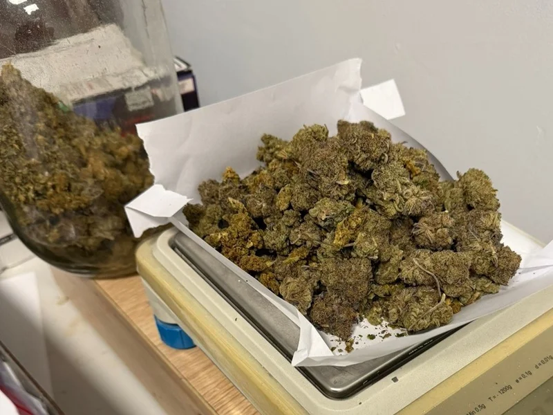 Narkotyki nie trafią na ulice! Policyjna realizacja w Kamieńcu Ząbkowickim zakończona sukcesem - Zdjęcie główne