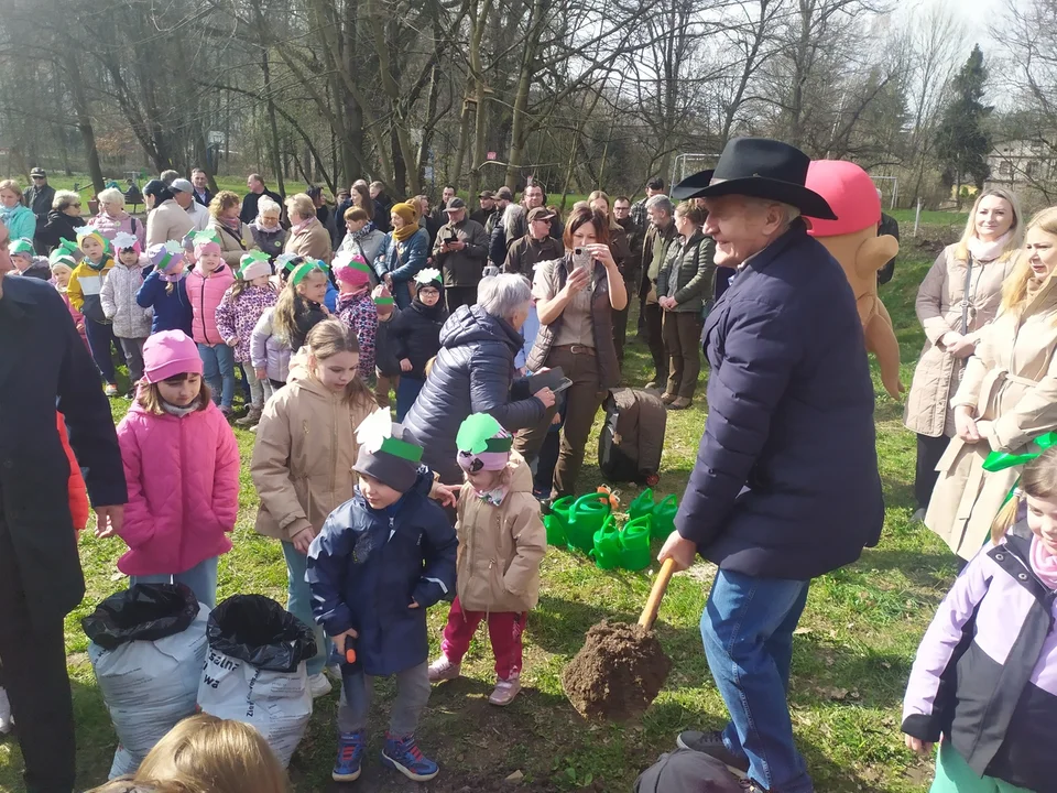 Nowa Ruda. Potomek dębu "Chrobry" rośnie już w parku w Słupcu [zdjęcia]