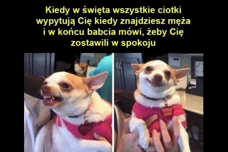 Ząbkowice Śląskie. Najlepsze lekarstwo na poświąteczną chandrę to duża dawka śmiechu!