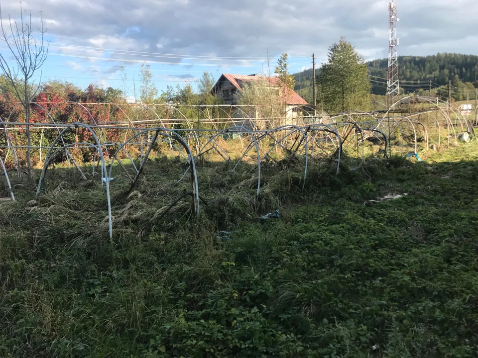 Trzebieszowice po powodzi [zdjęcia]