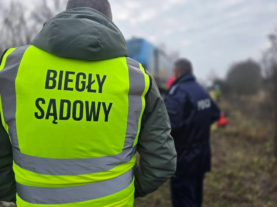 Rodzice Michaliny zginęli w tragicznym wypadku. Niesłysząca dziewczynka potrzebuje pomocy - Zdjęcie główne