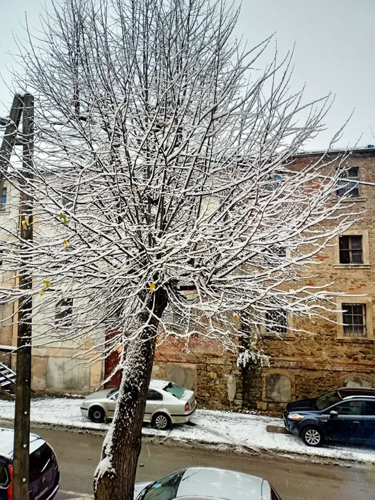 Biało za oknem. Pierwszy śnieg w obiektywie naszych czytelników