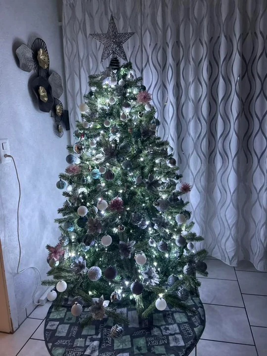 Boże Narodzenie 2025. Choinki naszych czytelników [galeria]