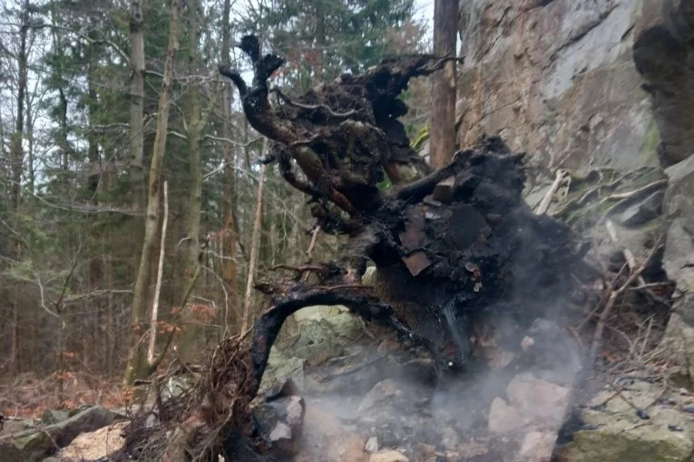 Gmina Lądek-Zdrój. Podpalenie lasu na Trojaku? - Zdjęcie główne