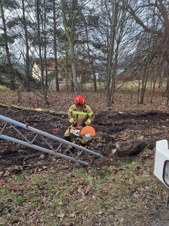 Kolizja w Polanicy-Zdroju. Prawdopodobnie kierowca ciężarowej Scani zasłabł za kierownicą