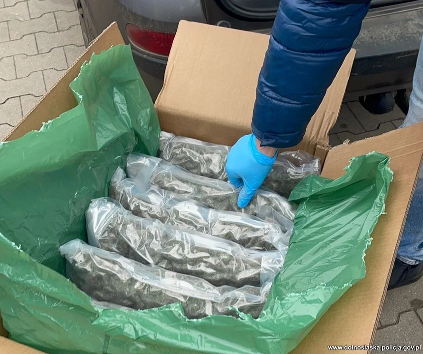 Ząbkowiccy funkcjonariusze zatrzymali przemytnika na gorącym uczynku