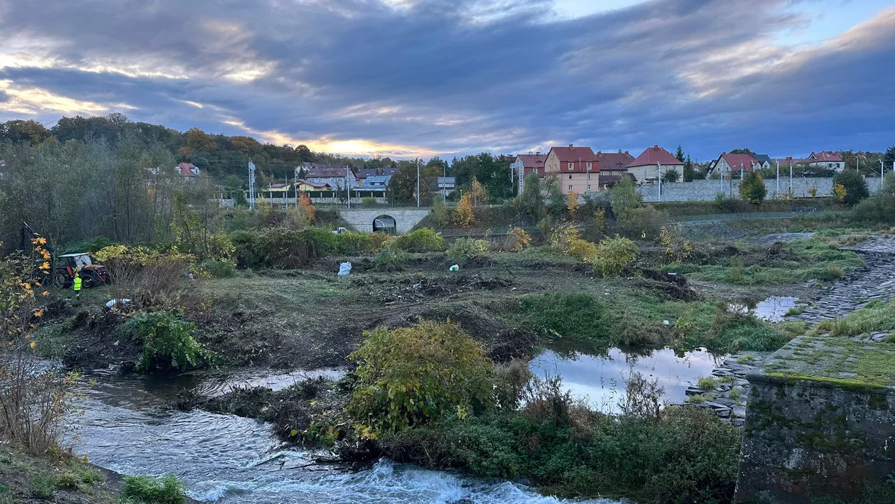 Remont koryta Nysy Kłodzkiej. Trwa wycinka drzew