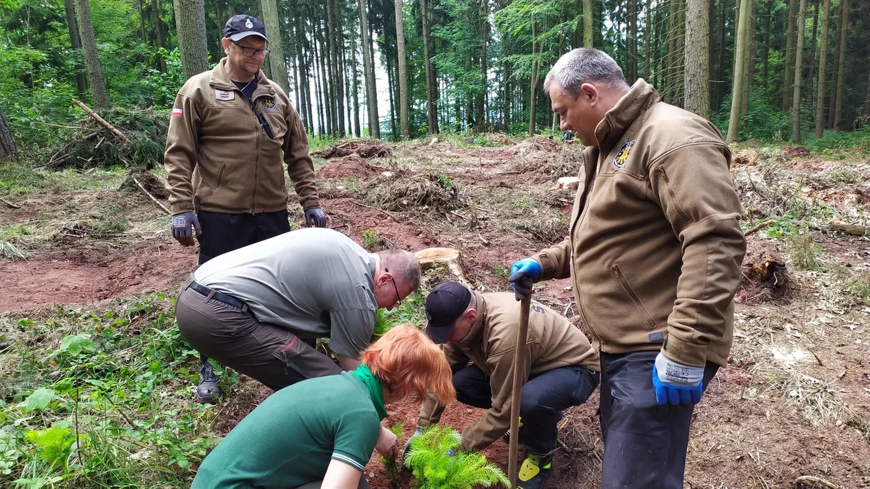 Nowa Ruda. Sadzili las im. Jana Pawła II w Słupcu - galeria