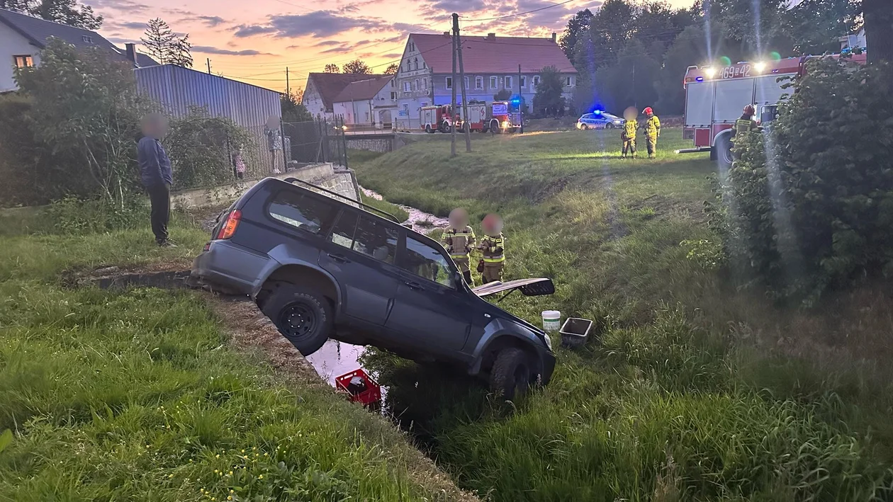 Jaszkowa Dolna. Nietypowa interwencja służb [zdjęcia]