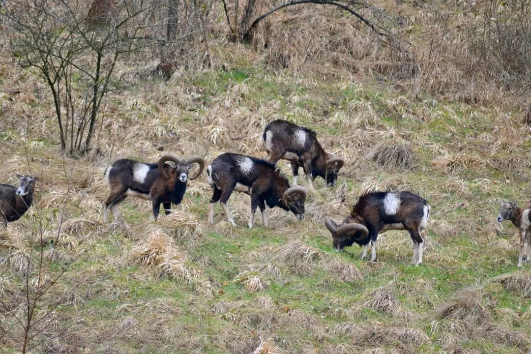 Nowa Ruda i okolice w obiektywie naszych czytelników