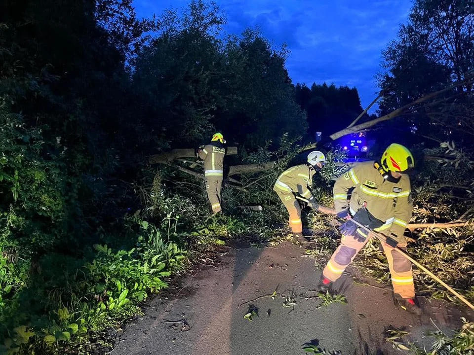 Nowa Ruda. Złamane drzewo spadło na ścieżkę rowerową na ulicy Słonecznej - Zdjęcie główne