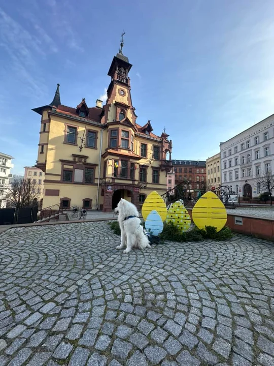 Nowa Ruda i okolice w obiektywie naszych czytelników