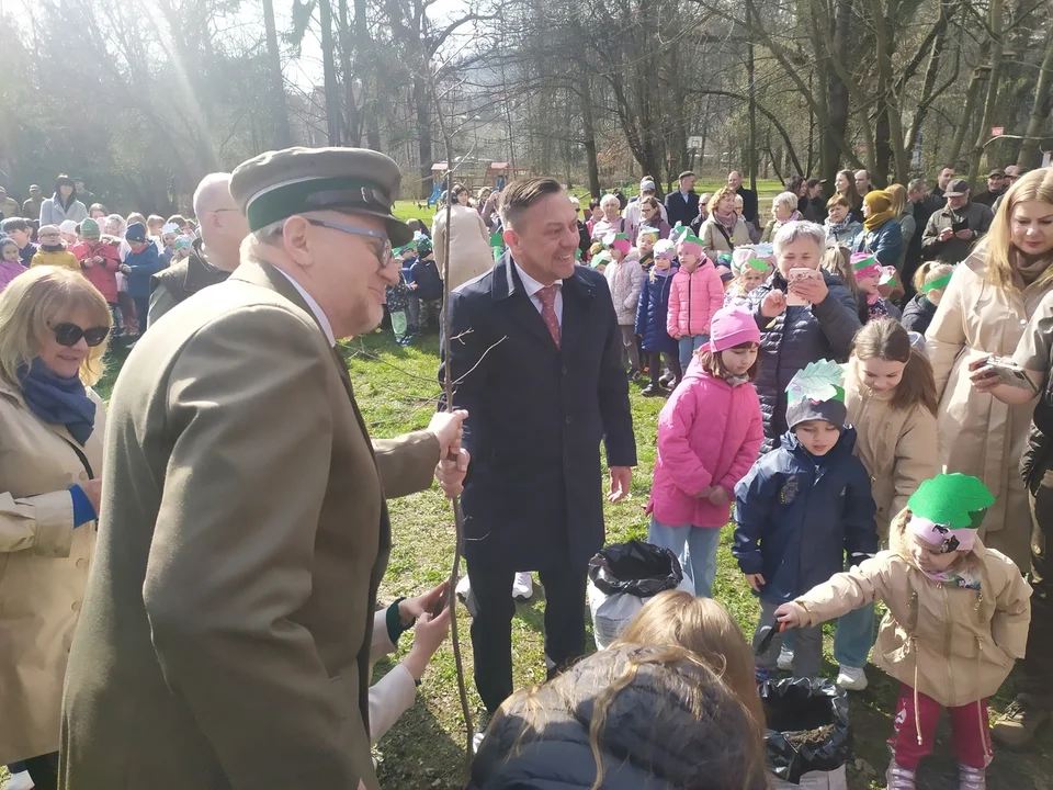 Nowa Ruda. Potomek dębu "Chrobry" rośnie już w parku w Słupcu [zdjęcia]