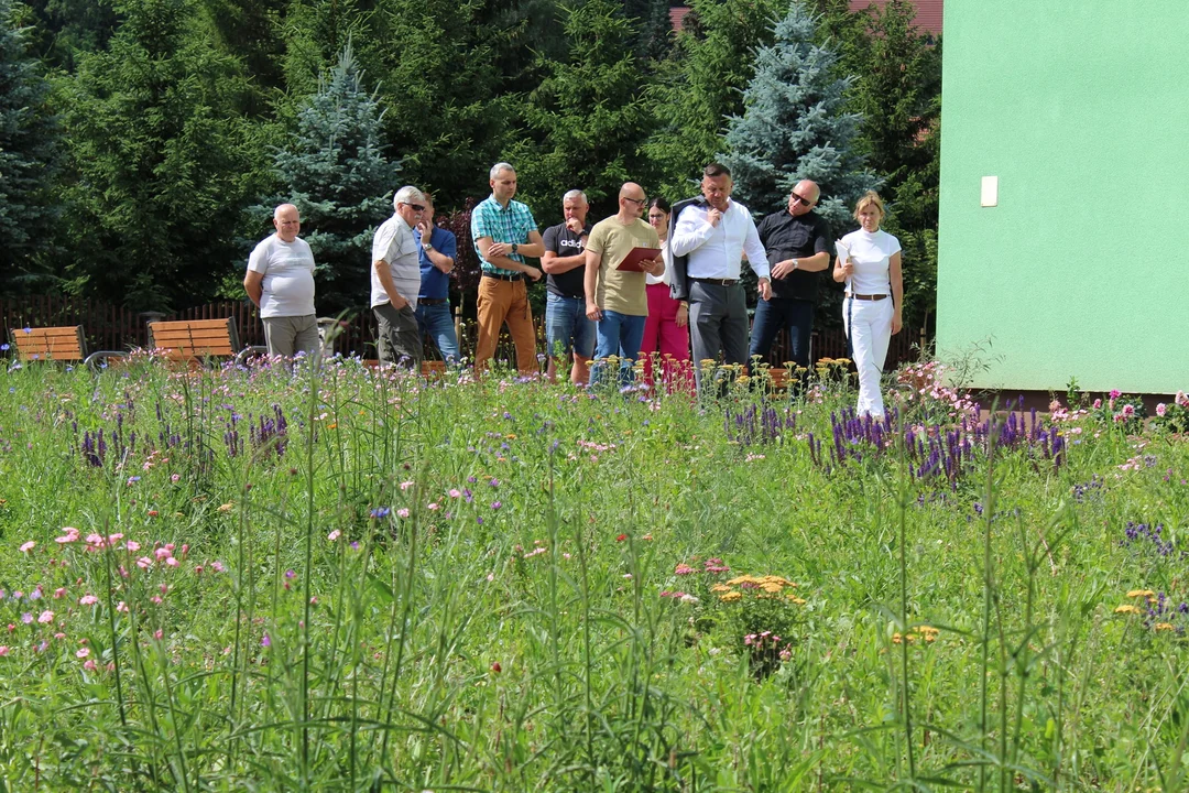 Przy dwóch noworudzkich podstawówkach zakończono projekty związane z łagodzeniem zmian klimatu