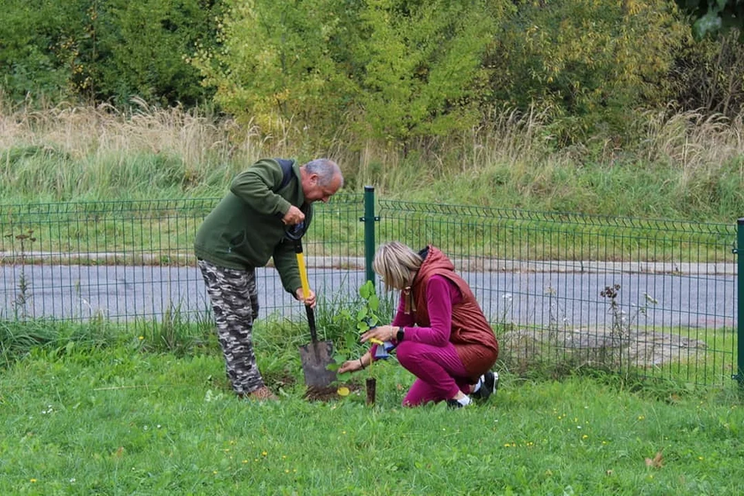 Dzieci wraz z seniorami wspólnie świętowali Dzień Drzewa [galeria]