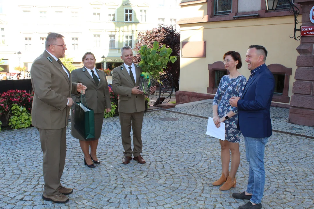 Święto Drzewa w Nowej Rudzie. Zasadzą drzewka, a nie sadzonki - Zdjęcie główne