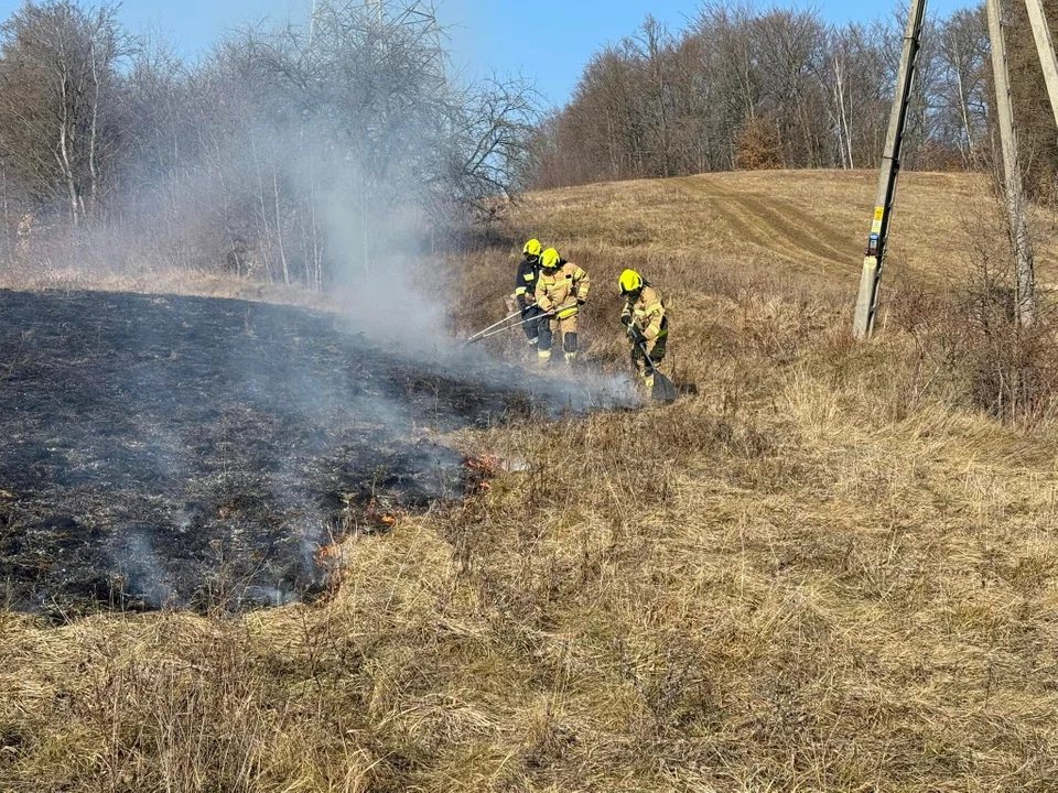 Powiat kłodzki. Początek lutego a już płonie sucha trawa [galeria]