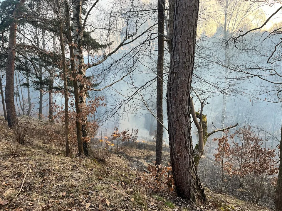 Pożary traw w powiecie kłodzkim. Alarmująca sytuacja [galeria]