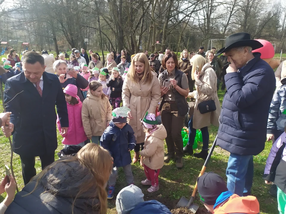 Nowa Ruda. Potomek dębu "Chrobry" rośnie już w parku w Słupcu [zdjęcia]