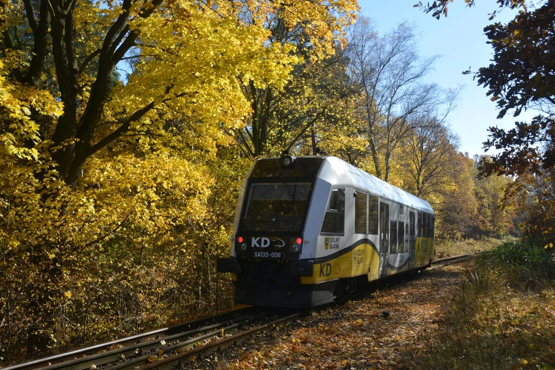 Pociągi wrócą na kolejną linię! Samorząd województwa ogłosił przetarg i szuka wykonawcy