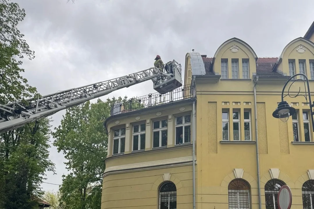 Kłodzko. Niecodzienna interwencja Straży Miejskiej