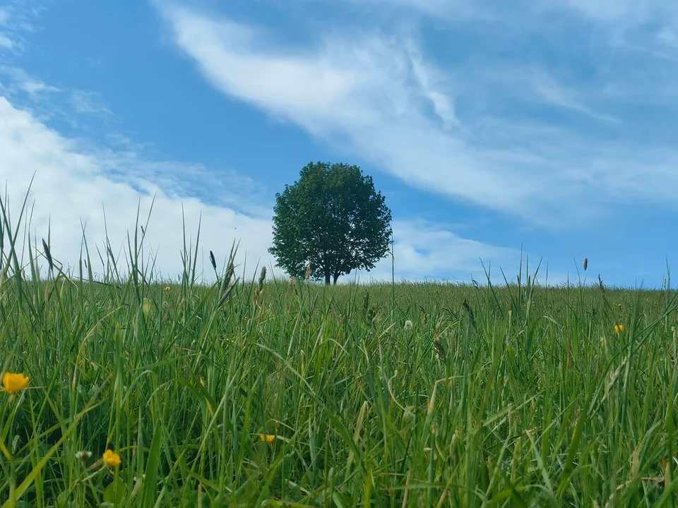 Wiosna w obiektywie naszych czytelników [galeria]