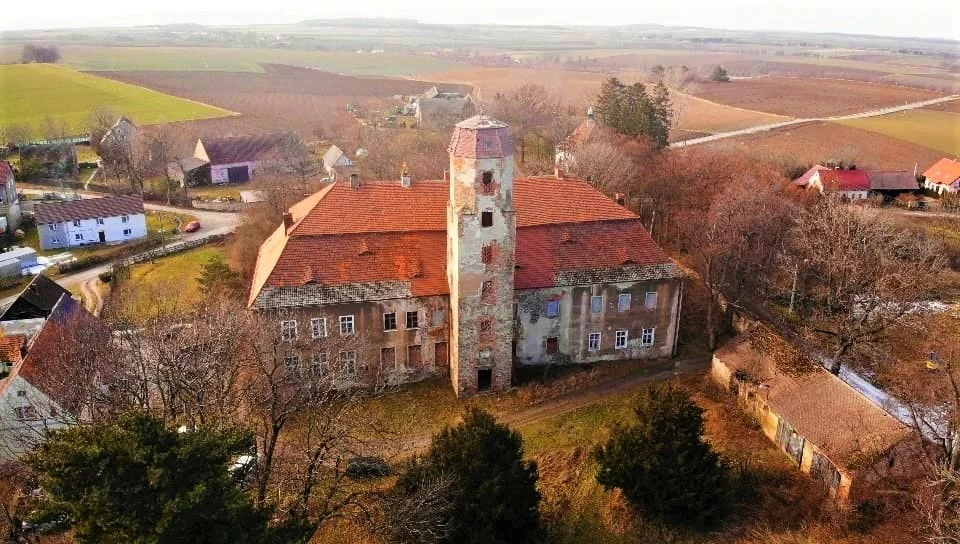 Służejów. Kup sobie pałac, wozownię i park - Zdjęcie główne