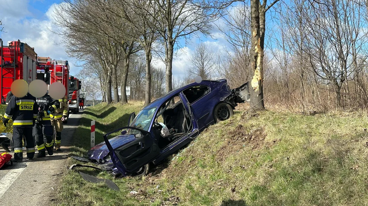 Krajowa ósemka. Kierowca BMW uderzył w przydrożne drzewo [zdjęcia]