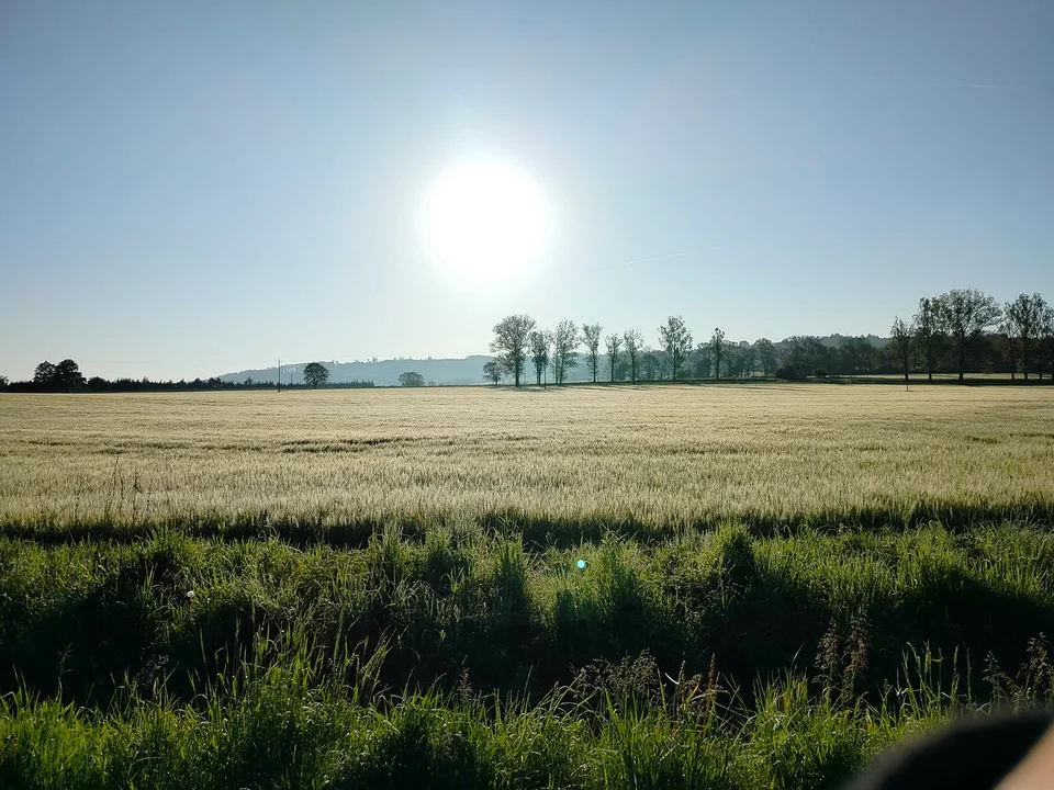 Wiosna w obiektywie naszych czytelników [galeria]