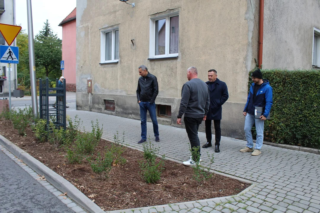 Nowa Ruda. Zazielenili Teatralną. Przed nami m.in. rewitalizacja parku przy ul. Kolejowej