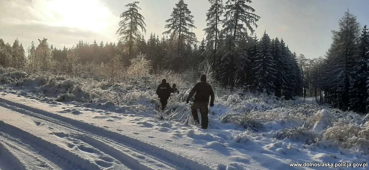 Powiat Kłodzki. Policjanci razem ze strażnikami leśnymi kontrolują lasy - Zdjęcie główne