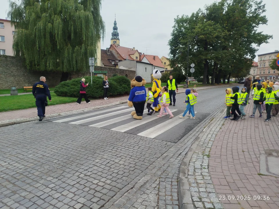 Bystrzyca Kłodzka. Akcja edukacyjna „Bezpieczna droga do szkoły” [galeria]
