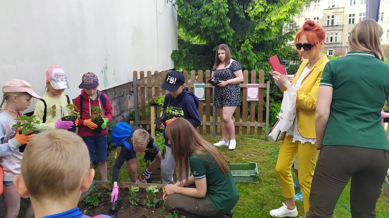 Nowa Ruda. Dzień Dziecka w Miejskim Ośrodku Kultury