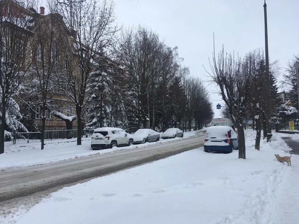 Ząbkowice Śląskie. Zobacz jak wyglądają drogi  w naszym mieście