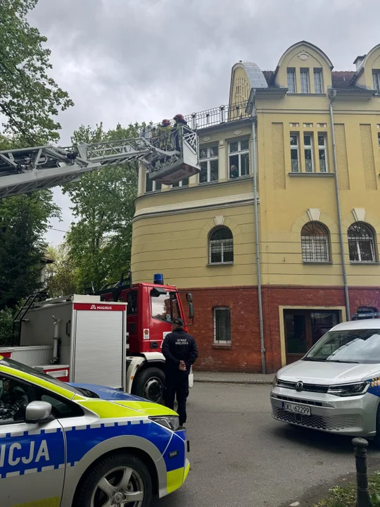 Kłodzko. Niecodzienna interwencja Straży Miejskiej