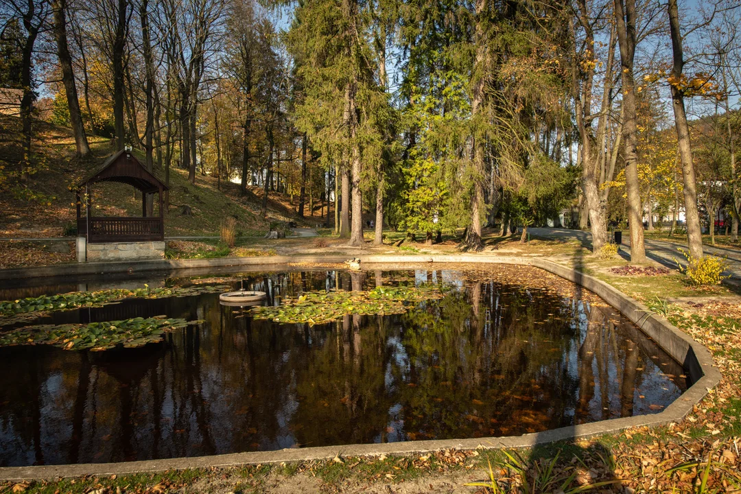 Cisza, spokój i regeneracja w Uzdrowisku Lądek - Długopole S.A.