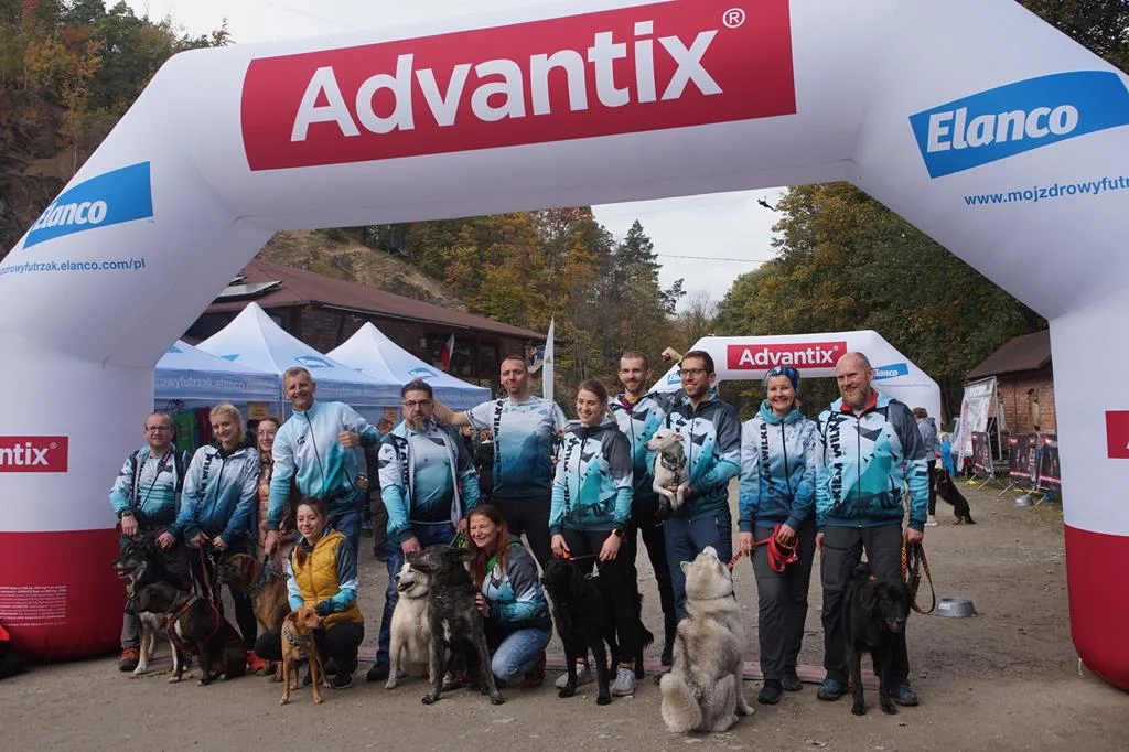 Zobacz zdjęcia z tegorocznej edycji Pucharu Polski DogTrekkingu w Złotym Stoku